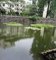 银城东苑景观池塘清淤
